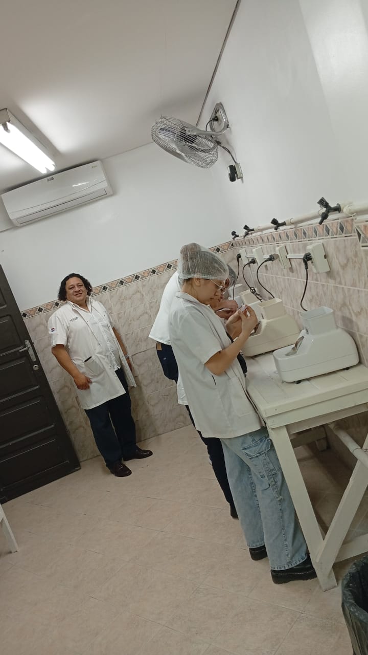 Laboratorio y práctica profesional